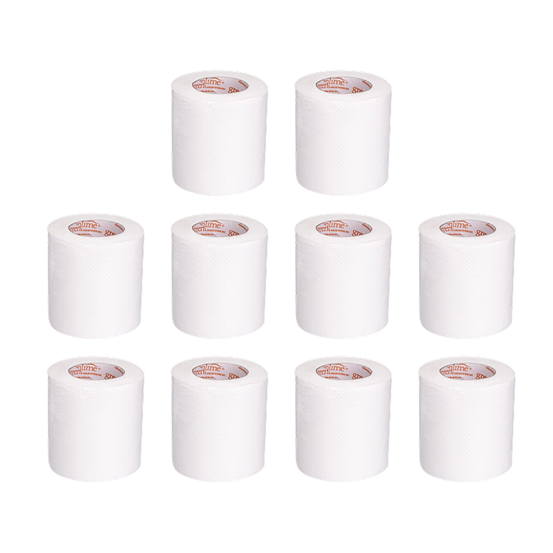 Toilet Paper Roll Pack of 10 (250 Sheets Each)